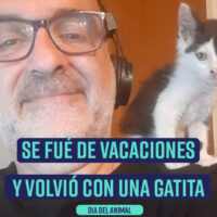 Se fué de vacaciones y volvió con una gatita. Homenaje #DiaDelAnimal