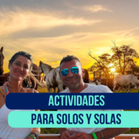 ¡Nuevas actividades grupales para solos y solas!